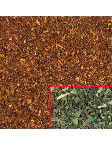 Rooibos supergrade con menta